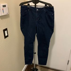 Lane Bryant Dark Denim 16